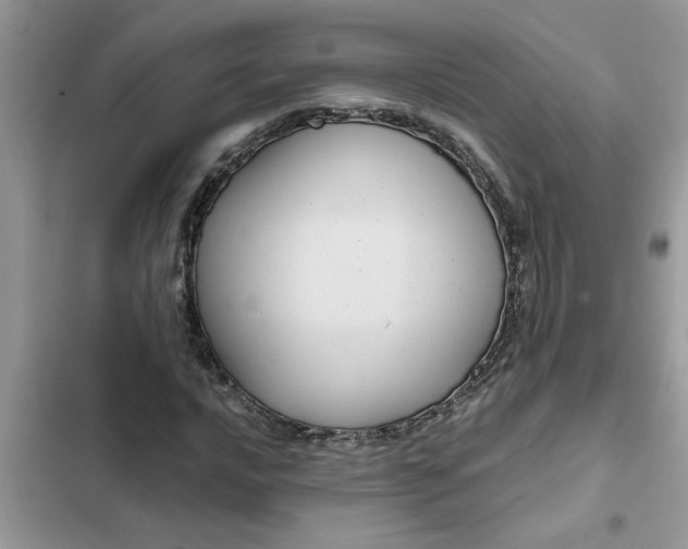 X0000102341016200808151723