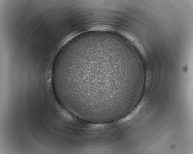 X0000102341017200808151723