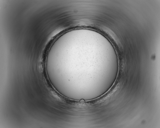 X0000102341018200808151723