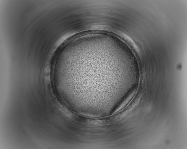 X0000102341019200808151723