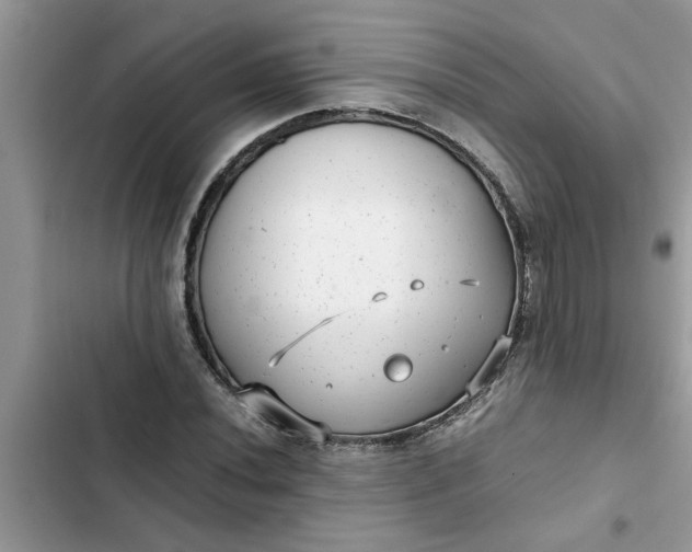 X0000102341020200808151723