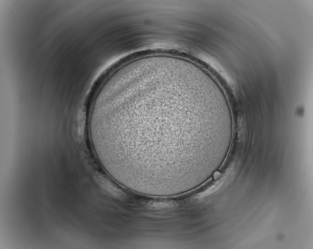 X0000102341021200808151723