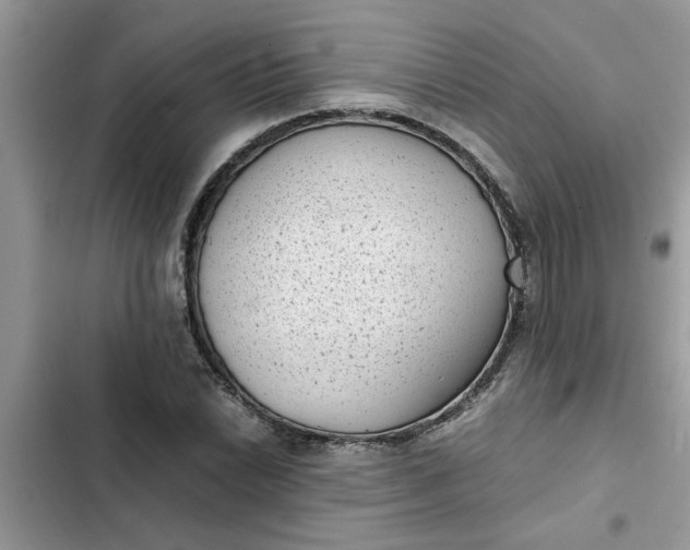 X0000102341022200808151723