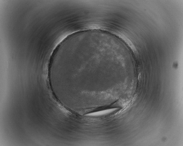 X0000102341023200808151723