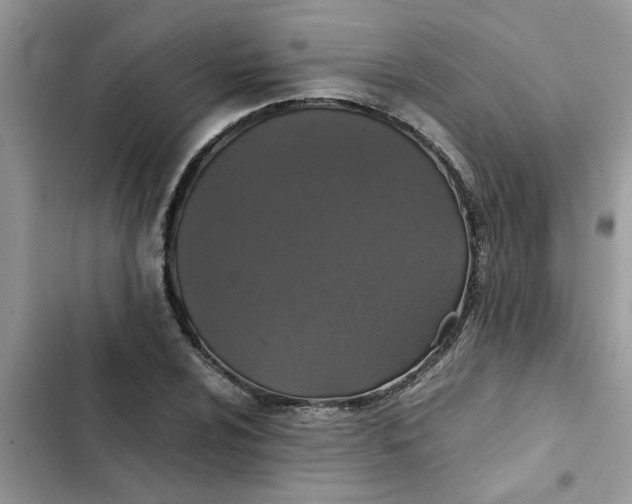 X0000102341024200808151723