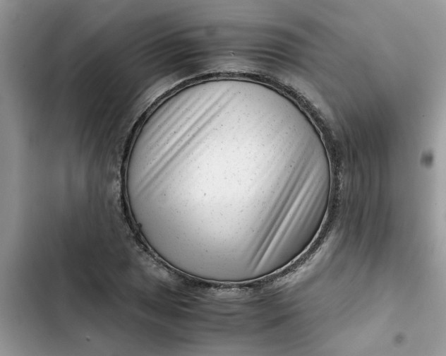 X0000102341025200808151723