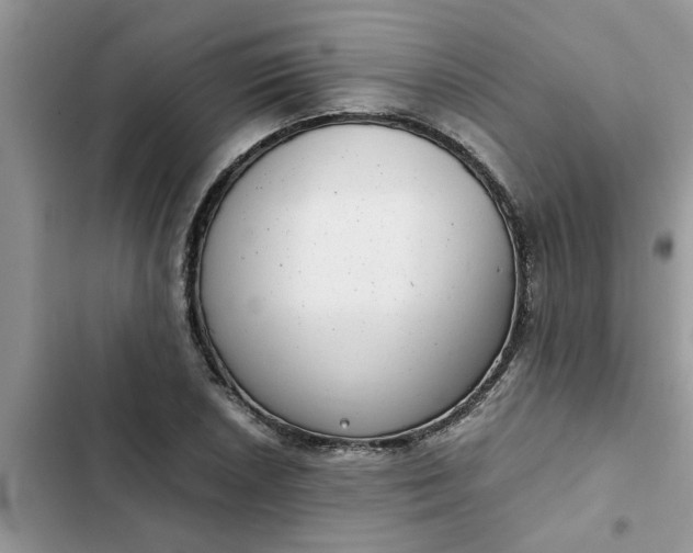 X0000102341026200808151723