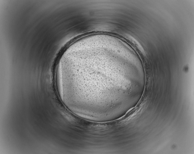 X0000102341027200808151723