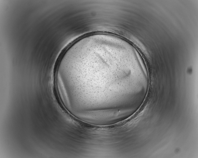 X0000102341028200808151723