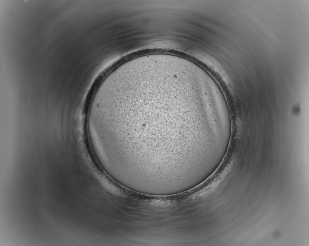 X0000102341029200808151723