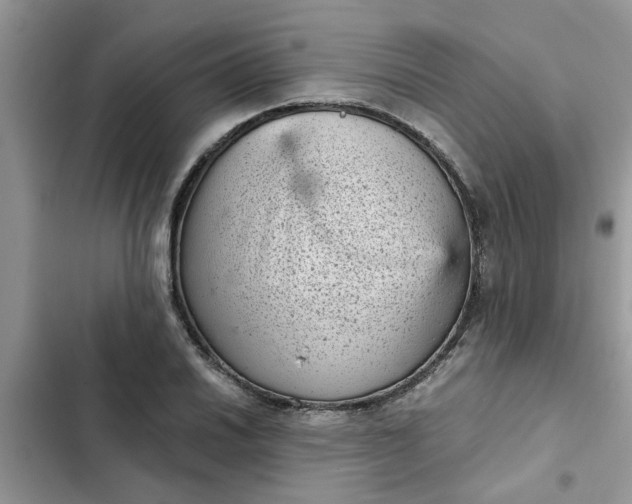 X0000102341030200808151723