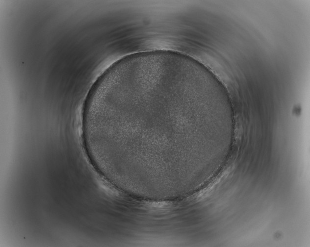 X0000102341031200808151723