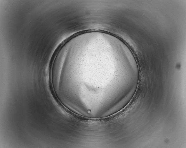 X0000102341032200808151723