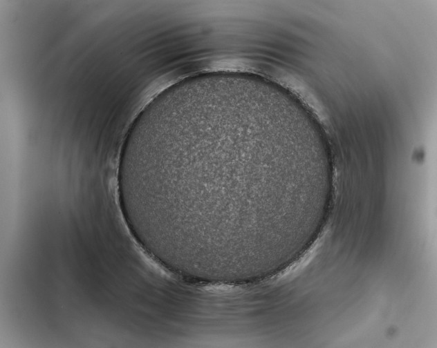 X0000102341033200808151723