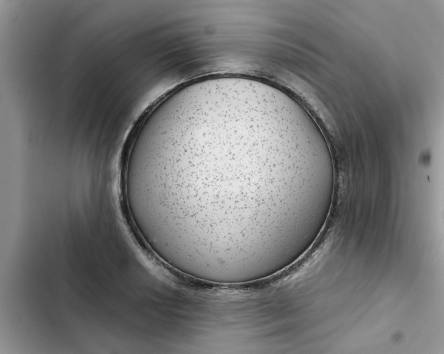 X0000102341034200808151723