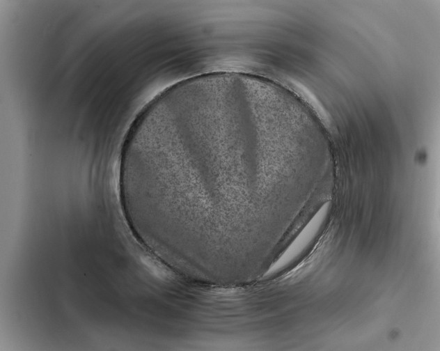 X0000102341035200808151723