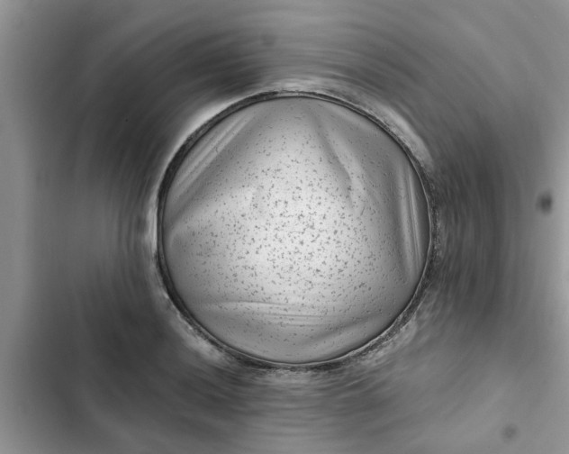 X0000102341036200808151723