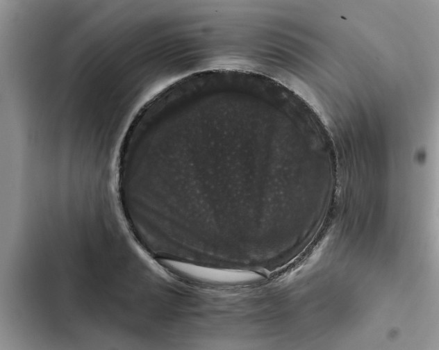 X0000102341037200808151723