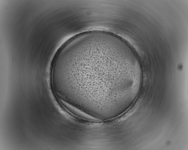 X0000102341038200808151723