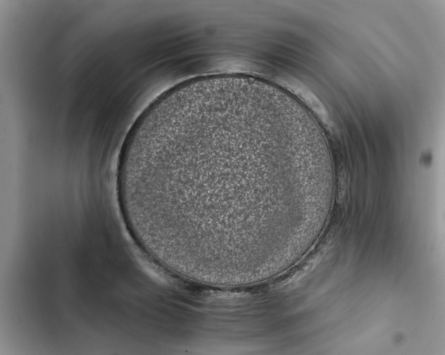 X0000102341039200808151723