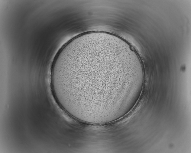 X0000102341040200808151723