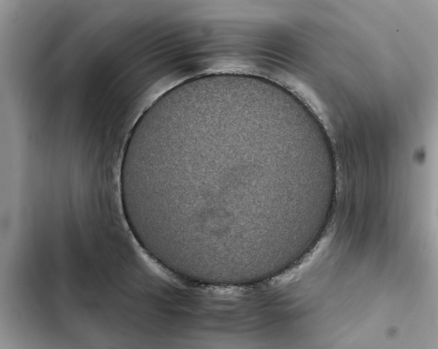 X0000102341041200808151723