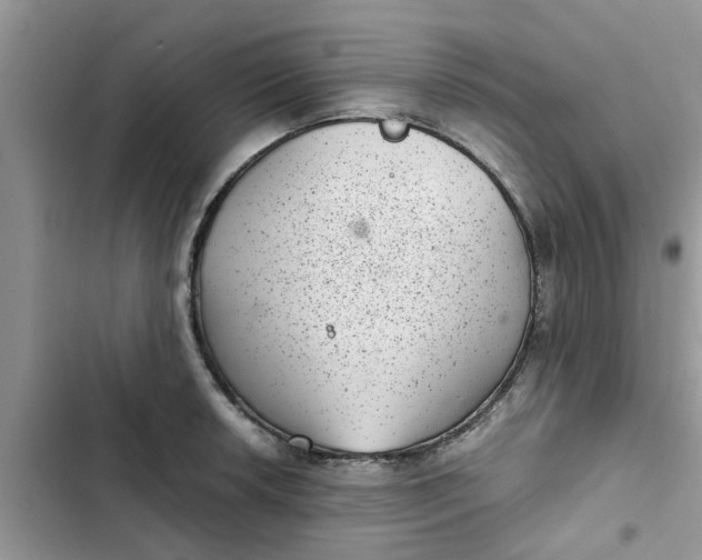 X0000102341042200808151723