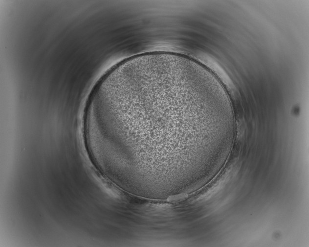 X0000102341043200808151723