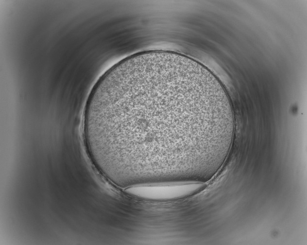 X0000102341044200808151723