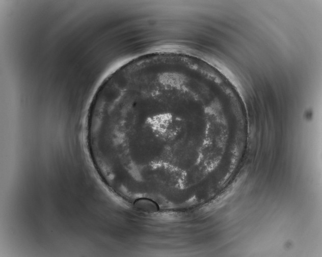 X0000102341045200808151723