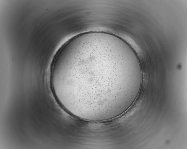 X0000102341046200808151723