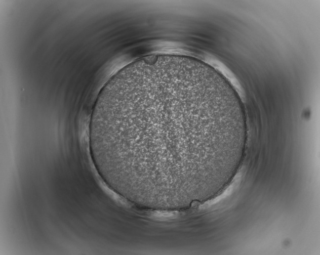 X0000102341049200808151723