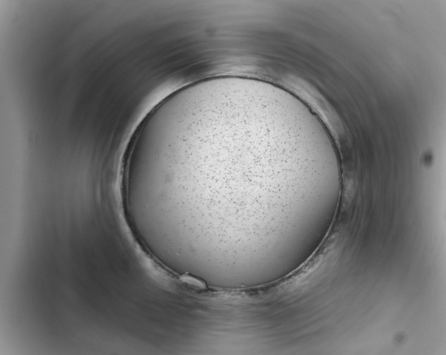 X0000102341050200808151723