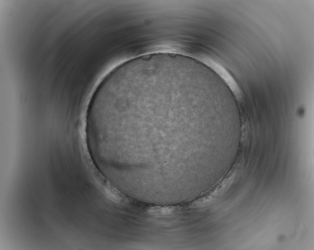 X0000102341051200808151723