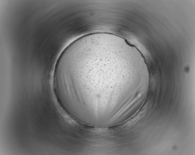 X0000102341052200808151723