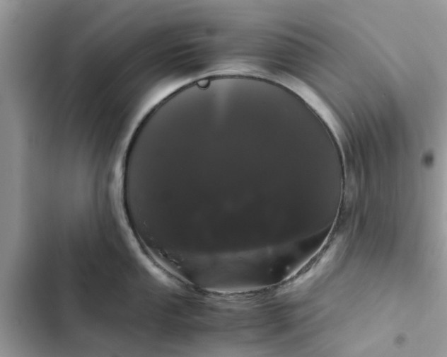 X0000102341053200808151723