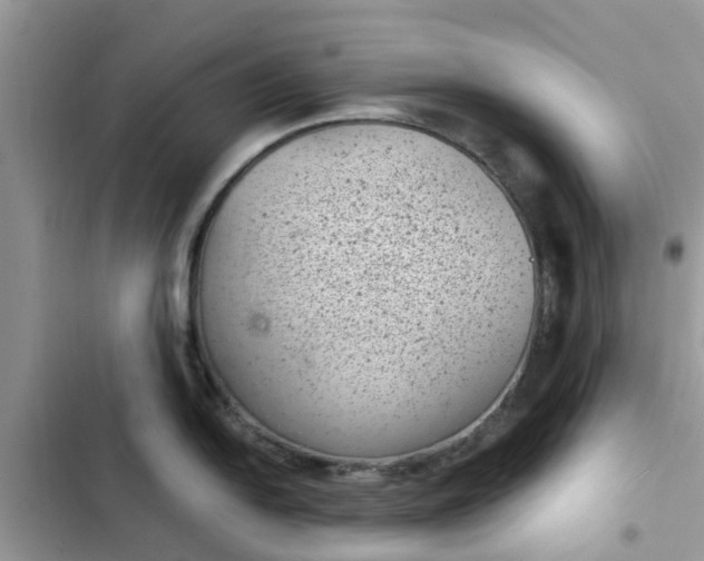 X0000102341054200808151723