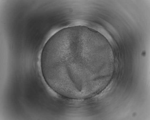 X0000102341055200808151723