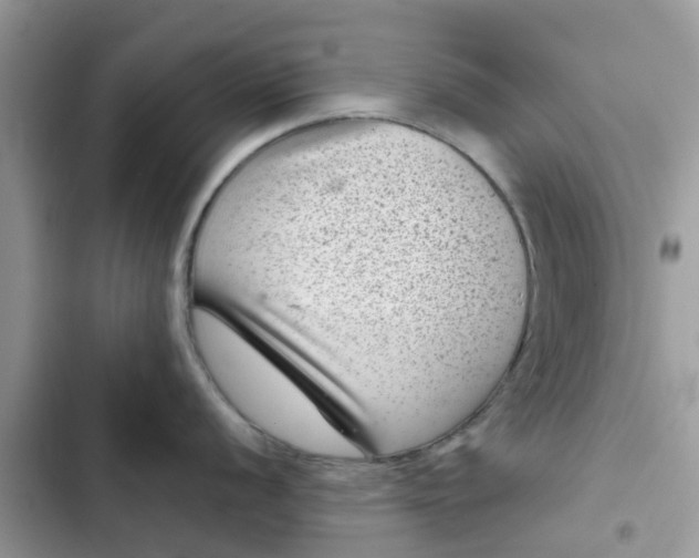 X0000102341056200808151723