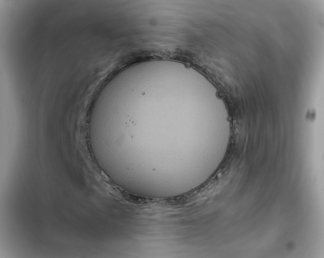 X0000102341057200808151723