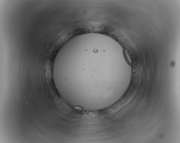 X0000102341058200808151723