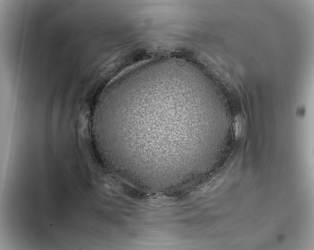 X0000102341059200808151723