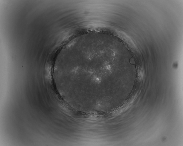 X0000102341060200808151723