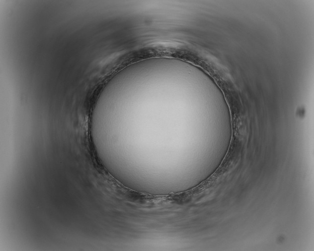 X0000102341061200808151723