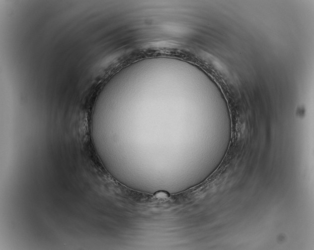 X0000102341062200808151723