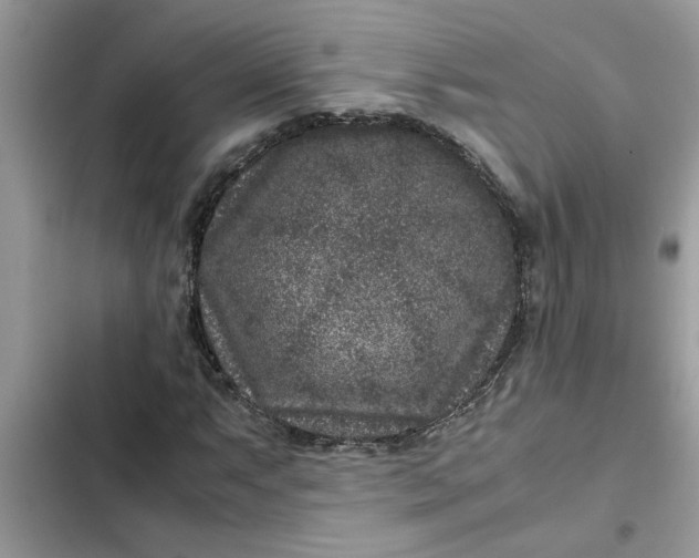 X0000102341063200808151723