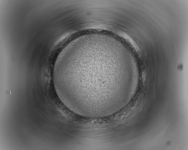 X0000102341064200808151723