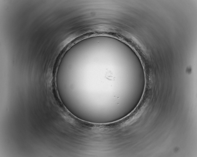 X0000102341065200808151723