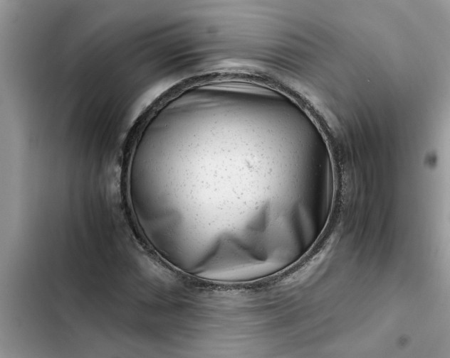 X0000102341066200808151723