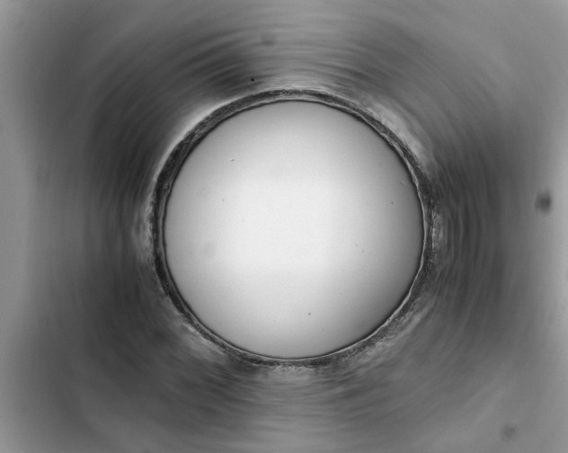 X0000102341068200808151723